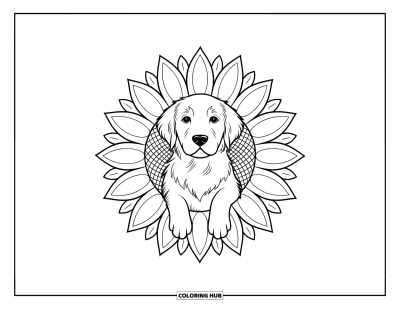 Desen de colorat cu pui de Golden Retriever pentru adulți: Cățeluș în centrul unei mandale de floarea-soarelui cu o privire liniștită în față