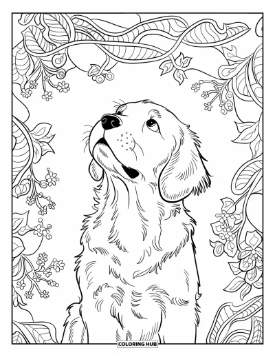 Desen de colorat cu pui de Golden Retriever pentru adulți: Cățeluș privind în sus printr-un design floral cu frunze și contururi clare