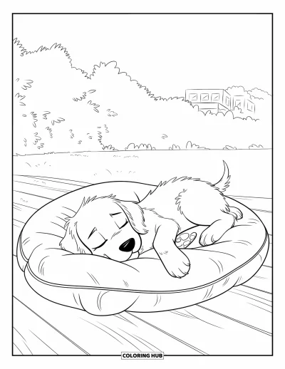 Desen de colorat cu pui de Golden Retriever pentru copii: Golden Retriever dormind pe o pernă într-un cadru verde în aer liber