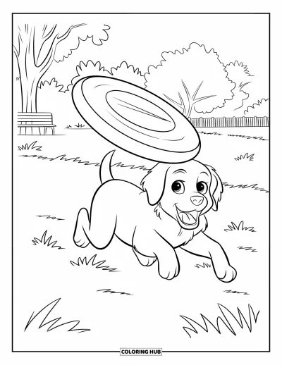 Desen de colorat cu pui de Golden Retriever pentru copii: Cățeluș alergând în parc după o frisbee zburătoare