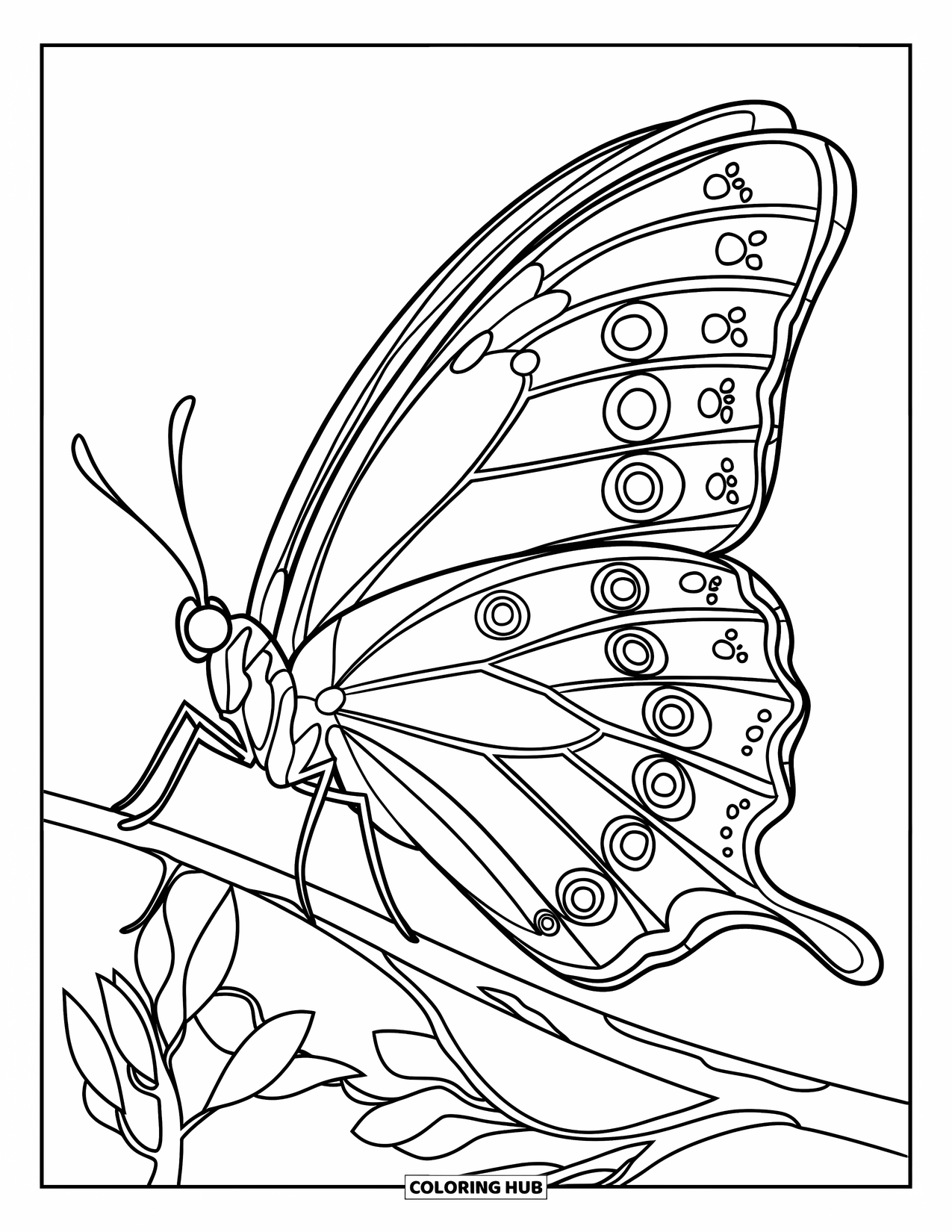 Groovy Coloring Page for Kids: Large butterfly on a branch with groovy wing designs