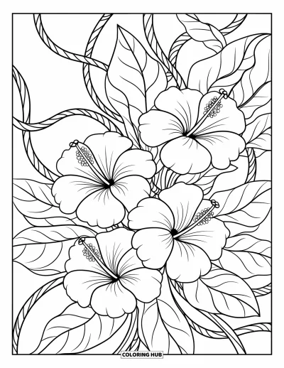 Coloriage Hawaï pour adultes : Un bouquet d'hibiscus audacieux s'enroule de feuilles et de lianes tourbillonnantes