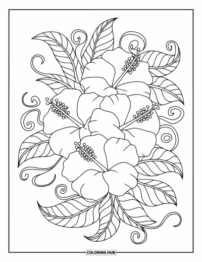 Coloriage Hawaï pour adultes : Un bouquet d'hibiscus est enveloppé de feuilles et de lianes gracieuses