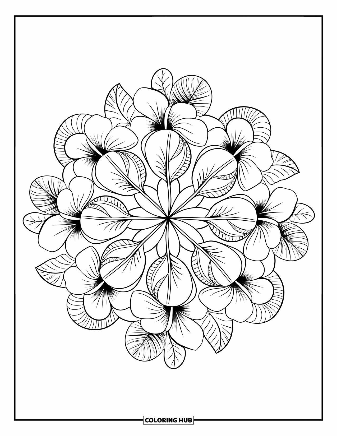 Hawaii Coloring Page for Adults: Intricate petals and leaves form a tropical floral mandala circle