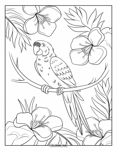 Coloriage Hawaï pour enfants : Un perroquet coloré est perché sur une branche courbée entourée de grandes fleurs vives