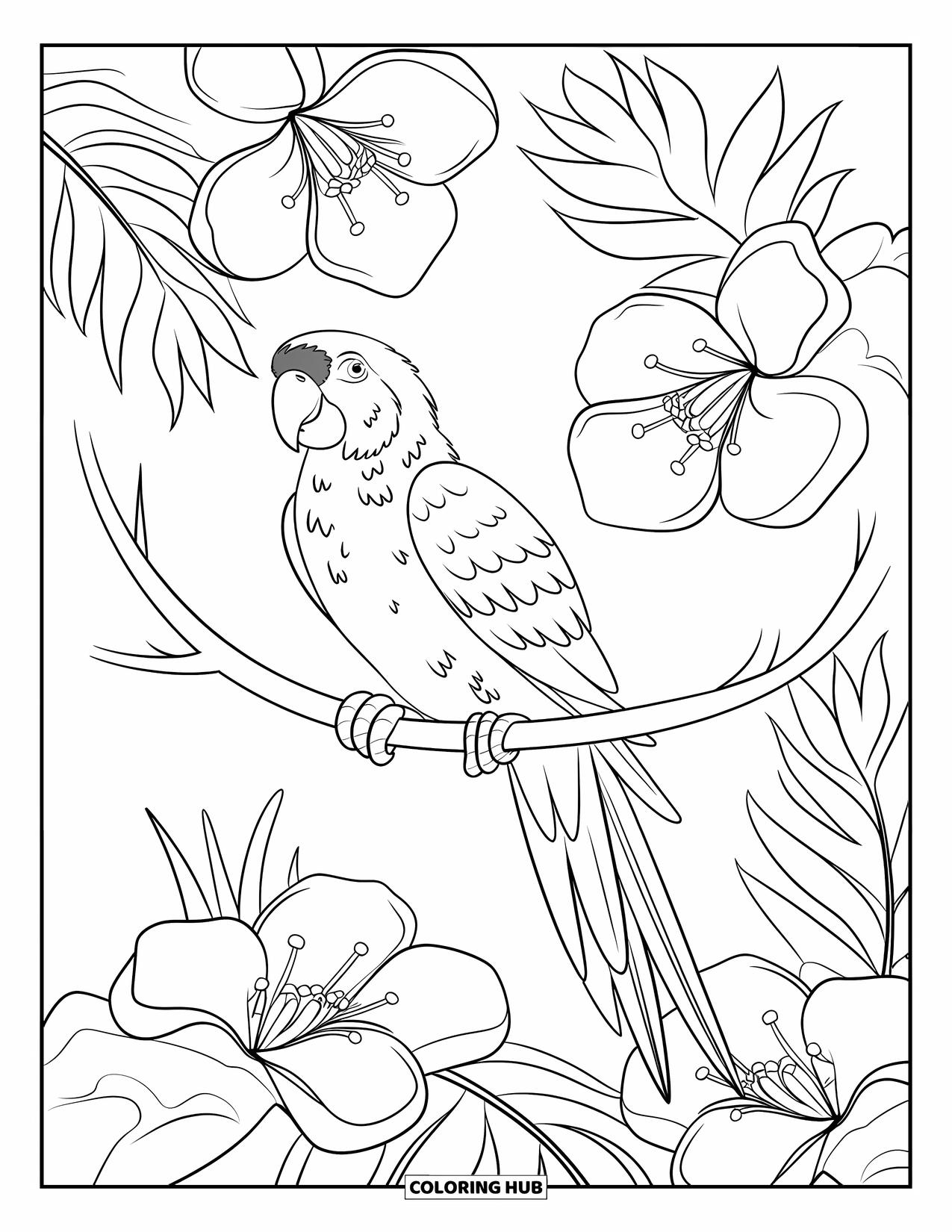 Hawaii Coloring Page for Kids: A colorful parrot sits on a curved branch with big, bold flowers all around