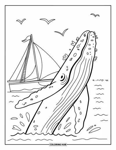 Coloriage Hawaï pour enfants : Une baleine bondit près d'un bateau avec des cordages, des vagues et des mouettes en vol