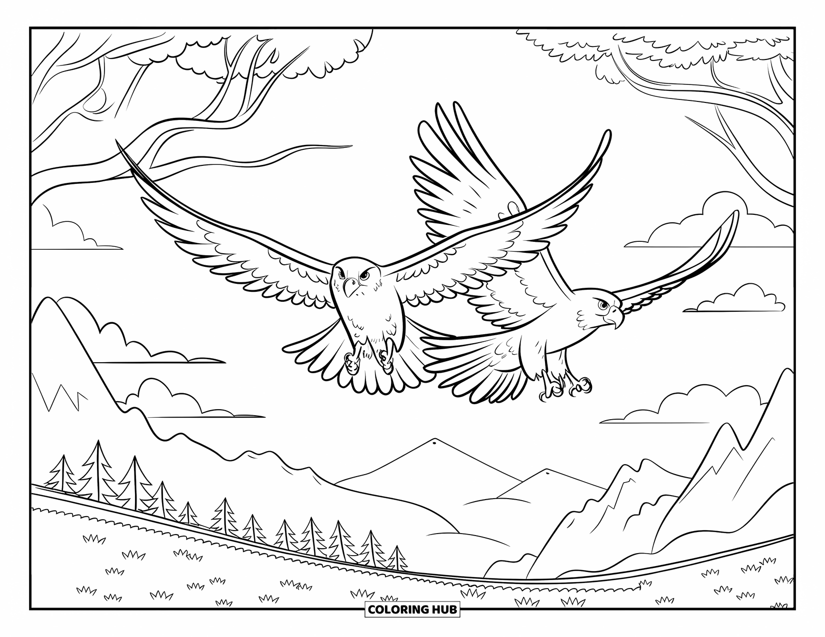 Hawk Coloring Page for Kids: Flying hawks with wings stretched over mountains and grassy terrain