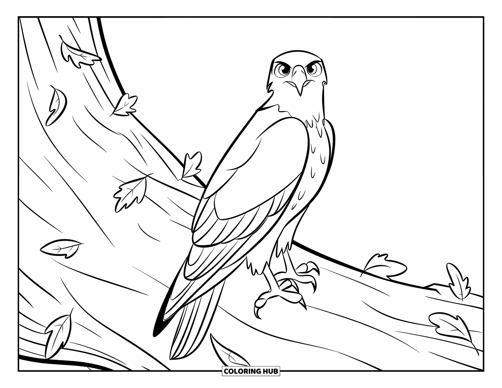 Hawk Coloring Page for Kids: Hawk watches from a tree trunk surrounded by fallen leaves