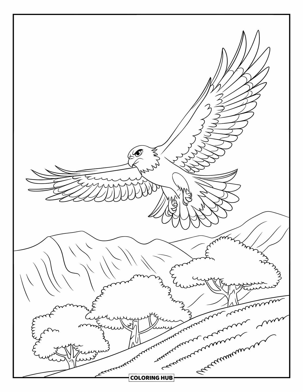 Hawk Coloring Page for Kids: Hawk with wide wings flies over a hillside of trees and mountains