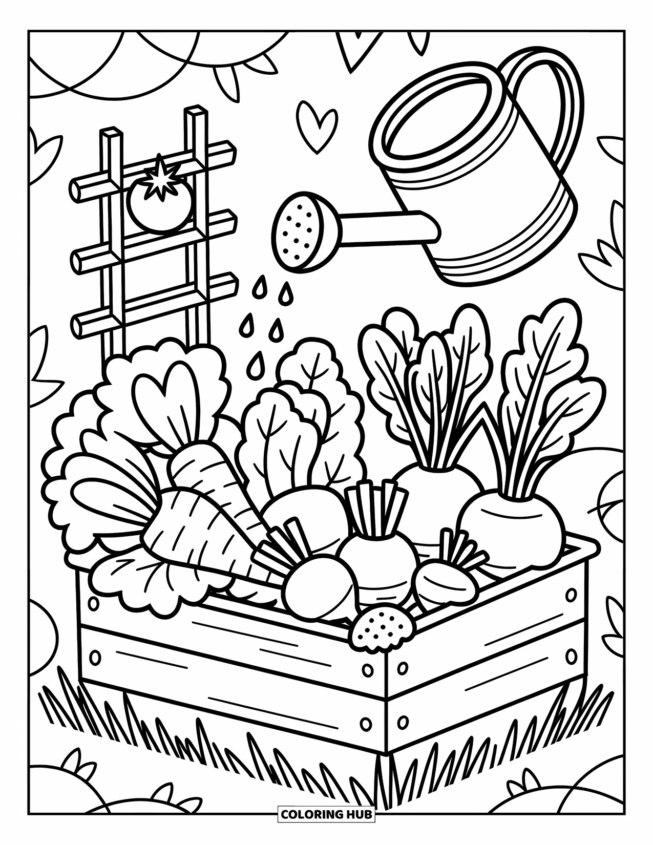 Healthy Food Coloring Page for Adults: Garden bed full of carrots, beets, lettuce, and a playful watering can