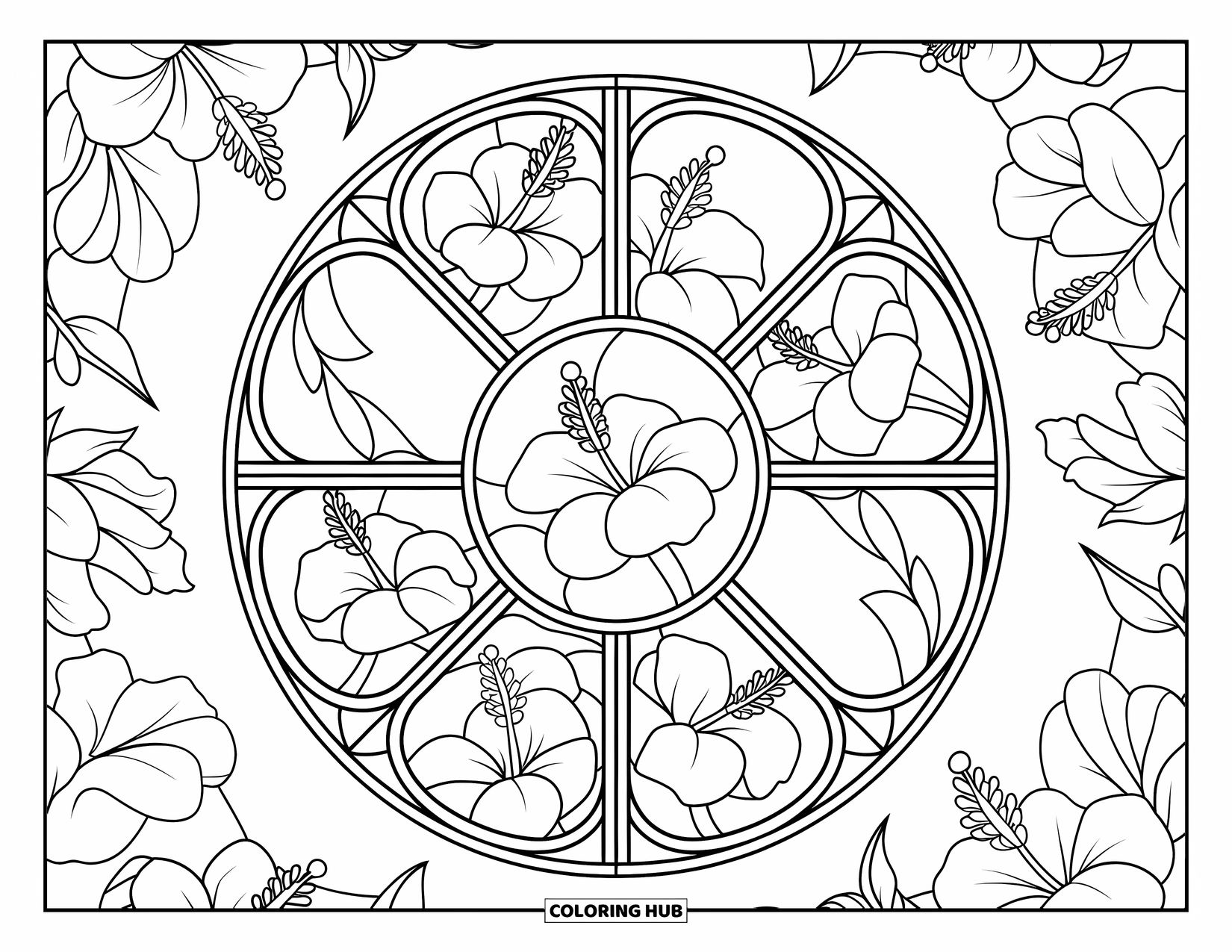 Hibiscus Coloring Page for Adults: Hibiscus blooms decorate a circular stained-glass window in crisp outlines