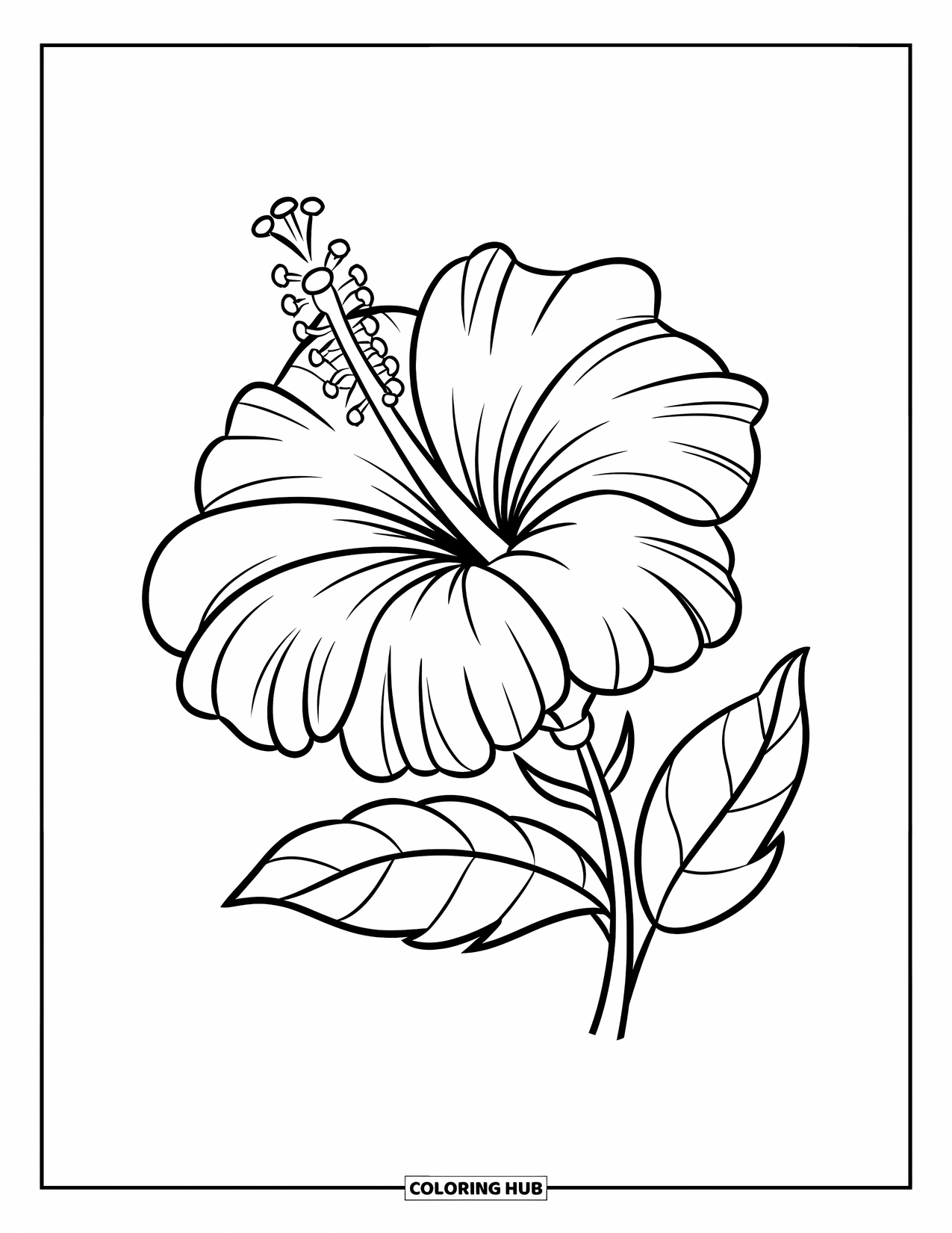 Hibiscus Coloring Page for Kids: Big hibiscus flower with thick outlines and soft, bold petals