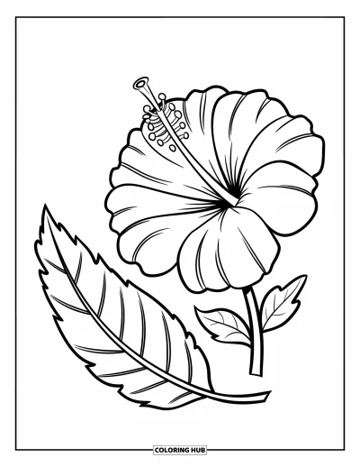 Desenho de hibisco para colorir para crianças: Hibisco e folha com linhas grossas e formas arredondadas
