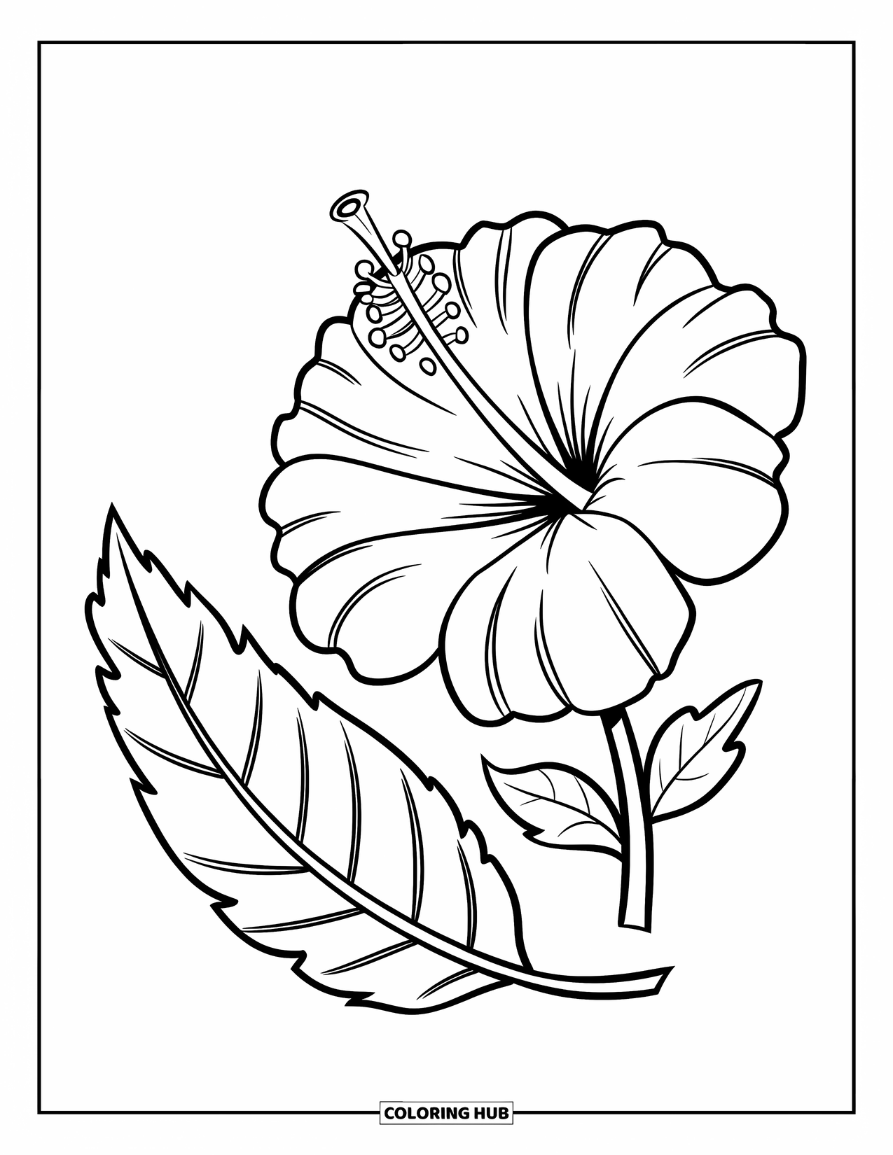 Hibiscus Coloring Page for Kids: Bold hibiscus and leaf with thick lines and round shapes