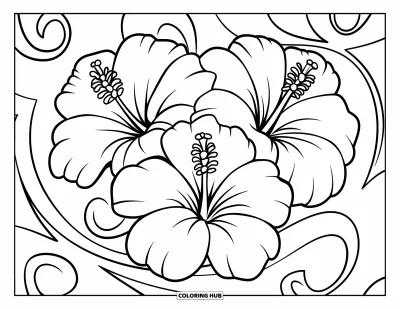 Desenho de hibisco para colorir para crianças: Trio de hibiscos com espirais decorativas ao redor de cada flor