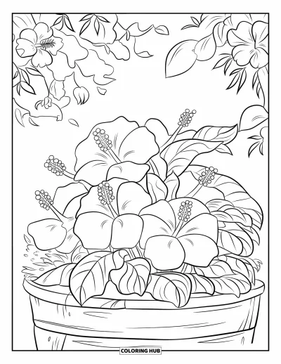 Desenho de hibisco para colorir para crianças: Flores de hibisco vibrantes em um canteiro verde com flores rosadas