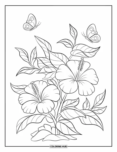 Desenho de hibisco para colorir para crianças: Borboletas e um arbusto de hibisco balançando na brisa