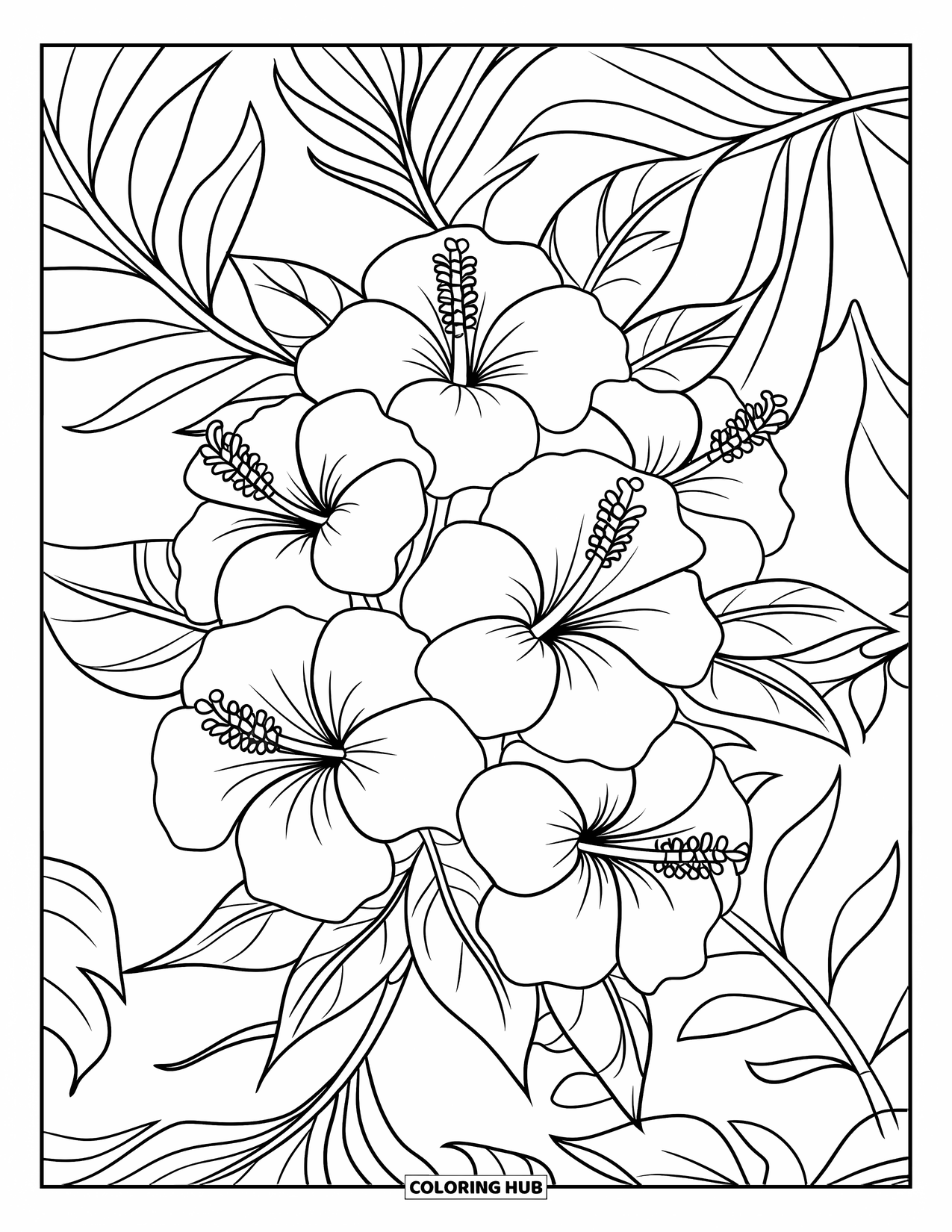 Hibiscus Coloring Page for Kids: Cluster of hibiscus flowers with swirling tropical leaves