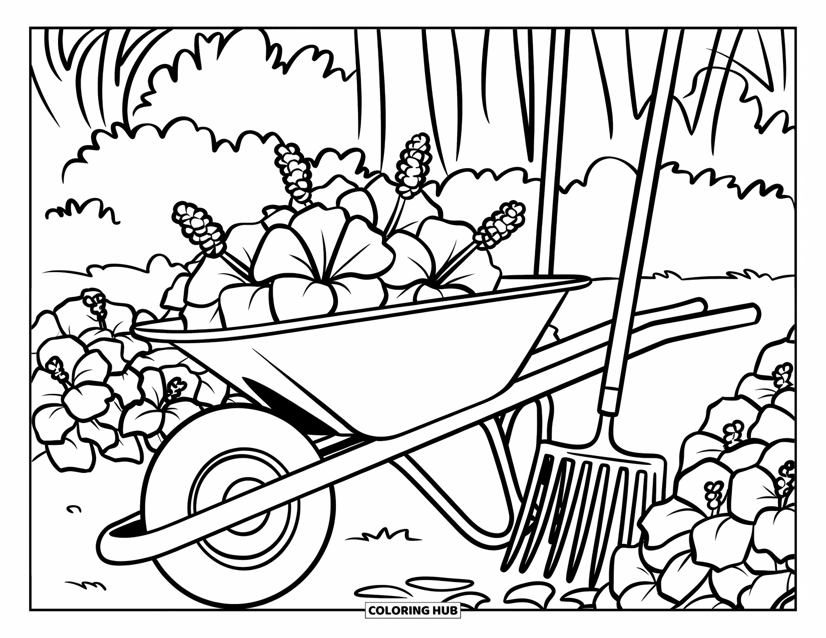 Hibiscus Coloring Page for Kids: Garden wheelbarrow with hibiscus, shovel, and rake