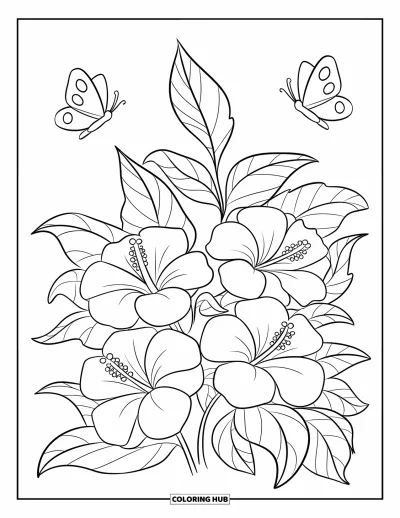Desenho de hibisco para colorir para crianças: Arbusto de hibisco com duas borboletas esvoaçando por perto