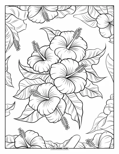 Desenho de hibisco para colorir para crianças: Flores de hibisco e folhas enroladas em um conjunto floral vibrante