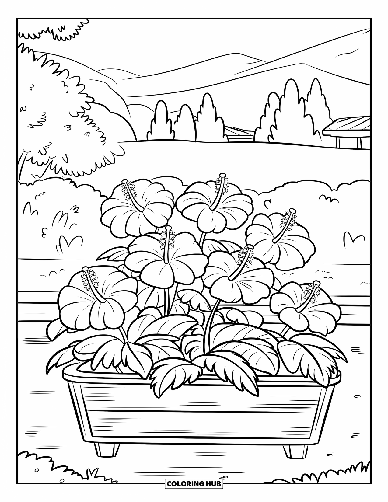 Hibiscus Coloring Page for Kids: Hibiscus flowers growing in a garden bed with scenic mountain views