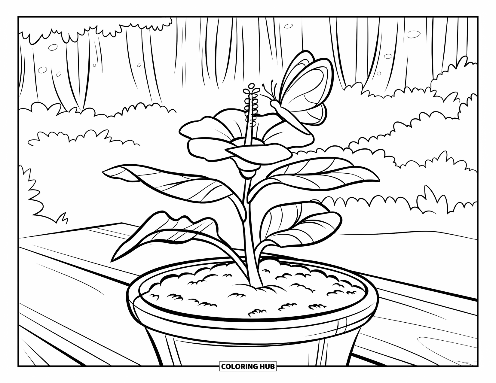Hibiscus Coloring Page for Kids: Hibiscus sprout in a pot with a butterfly nearby