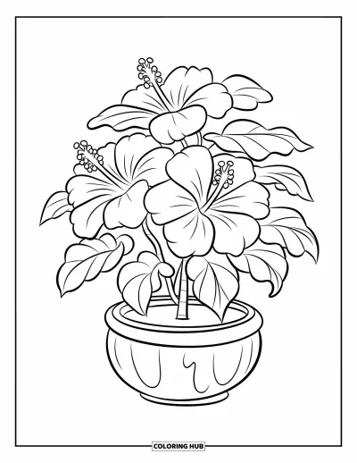 Desenho de hibisco para colorir para crianças: Grande planta de hibisco em um vaso redondo com curvas suaves