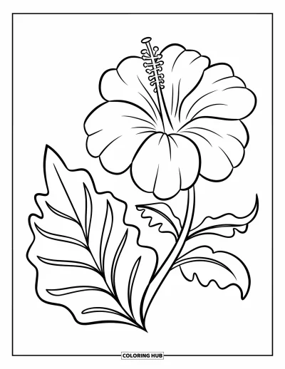 Desenho de hibisco para colorir para crianças: Hibisco e folha divertidos com contornos marcados para colorir com facilidade