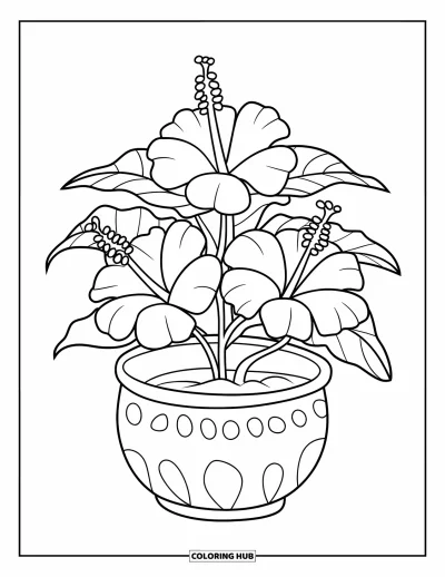 Desenho de hibisco para colorir para crianças: Vaso redondo com uma grande planta de hibisco e formas alegres