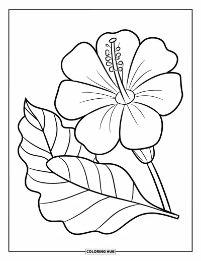 Desenho de hibisco para colorir para crianças: Flor e folha de hibisco simples com formas grandes e alegres