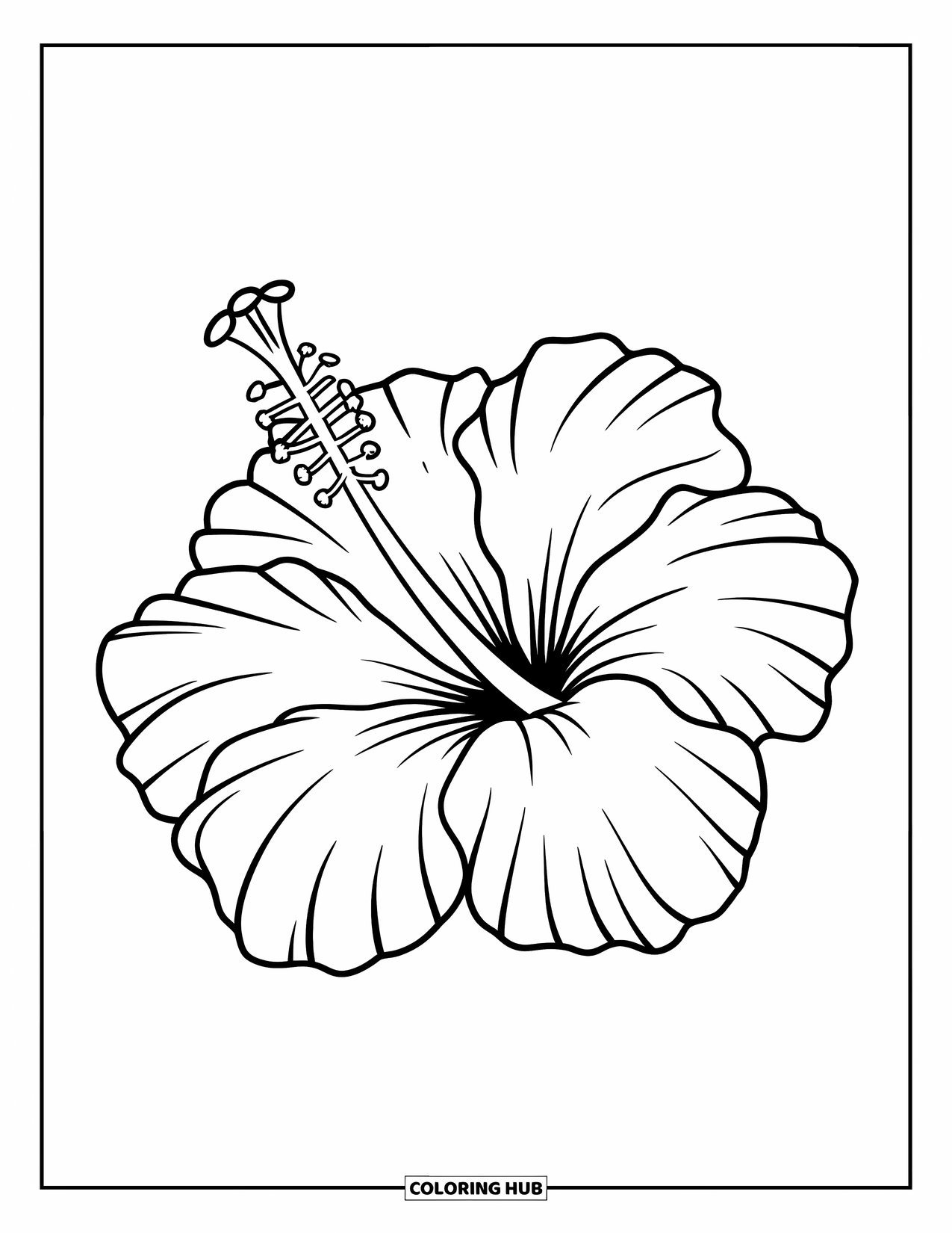 Hibiscus Coloring Page for Kids: Single hibiscus flower with bold petals on a clean background