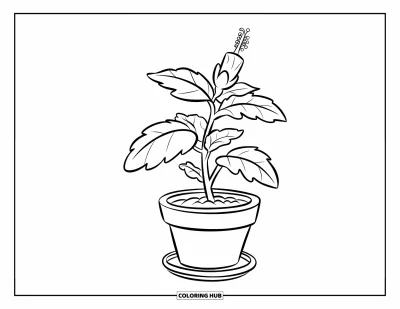 Desenho de hibisco para colorir para crianças: Pequeno broto de hibisco crescendo em um vasinho fofo