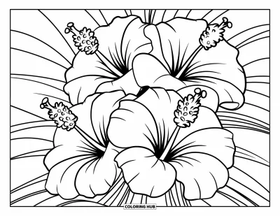 Desenho de hibisco para colorir para crianças: Três flores de hibisco com espirais em um design floral simples