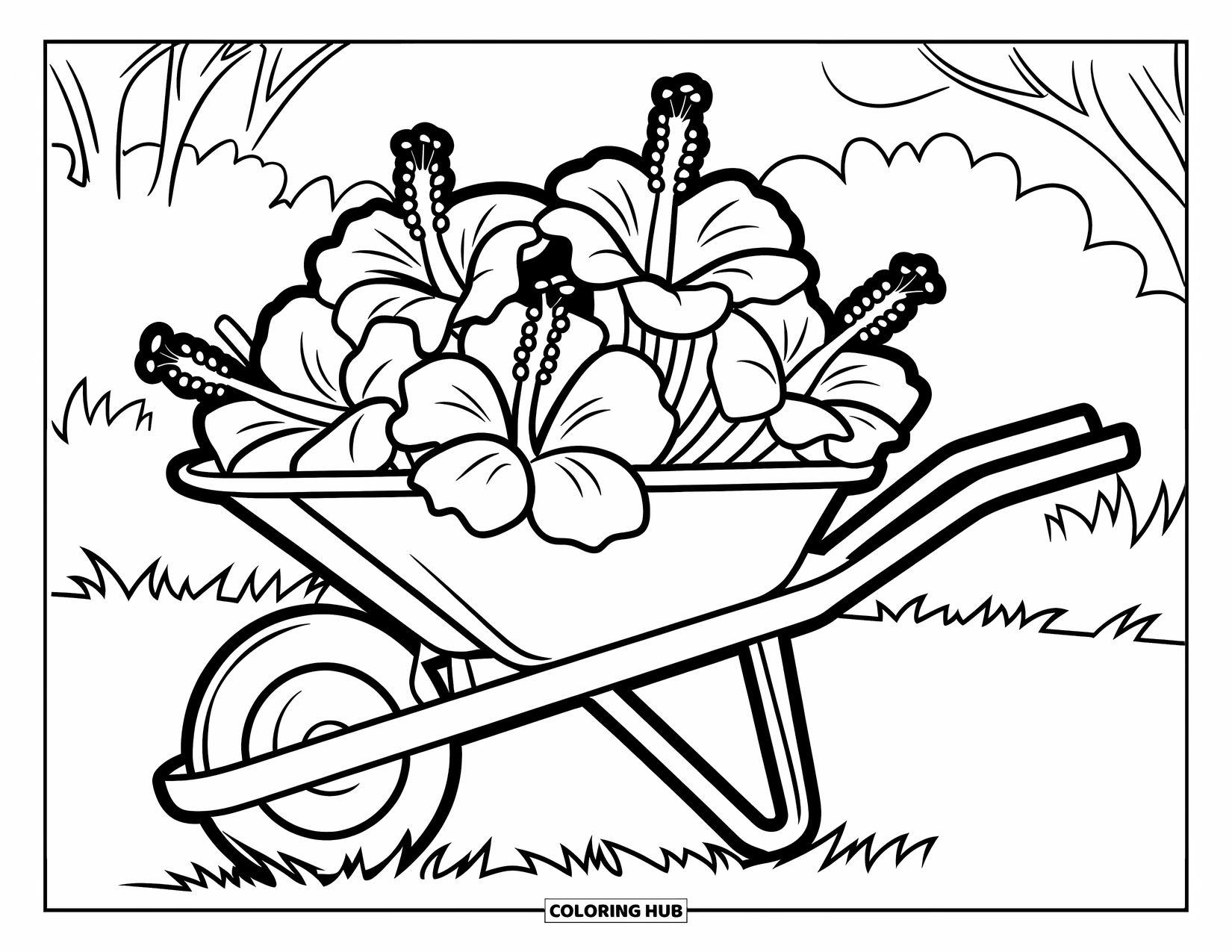 Hibiscus Coloring Page for Kids: Wheelbarrow with hibiscus flowers and garden tools