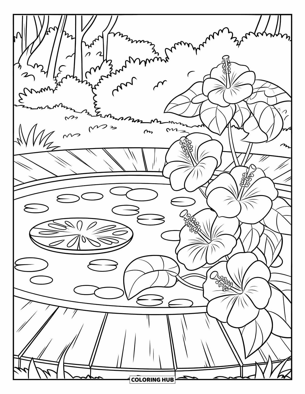 Hibiscus Coloring Page for Kids: Wooden deck by a pond filled with hibiscus blooms