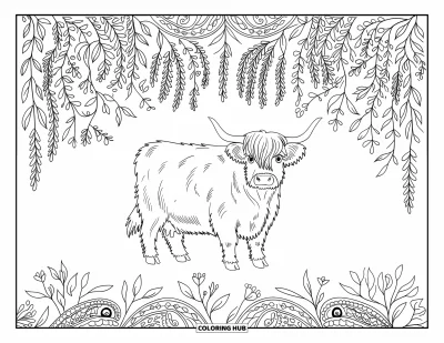 Desenho de vaca das Terras Altas para colorir para adultos: Uma vaca peluda fica em uma moldura de flores, redemoinhos de musgo e plantas trepadeiras