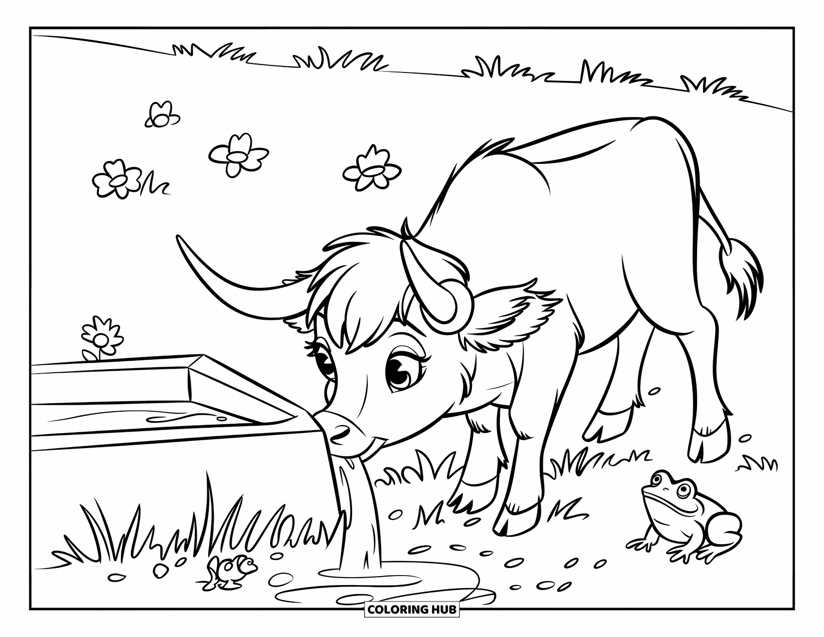 Highland Cow Coloring Page for Kids: A baby cow drinks water near flowers, grass, and a curious little frog