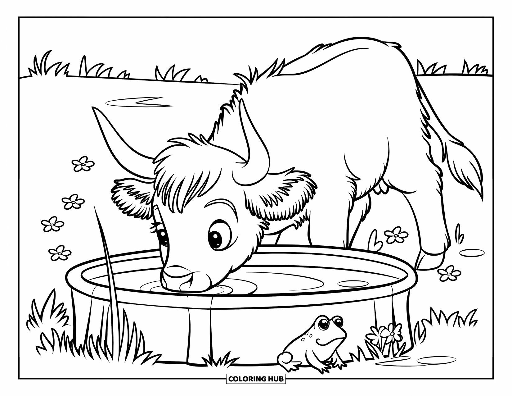 Highland Cow Coloring Page for Kids: A calf sips from a trough near grass and flowers while a frog sits nearby