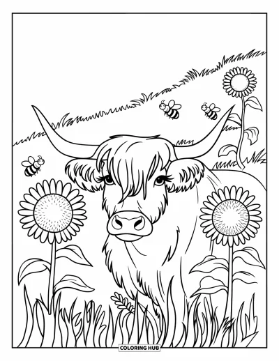 Desenho de vaca das Terras Altas para colorir para crianças: Uma vaca alegre espia entre capim alto e girassóis em uma encosta suave