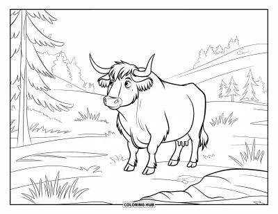 Desenho de vaca das Terras Altas para colorir para crianças: Uma vaca fica em terreno rochoso entre pinheiros e colinas onduladas na luz da manhã