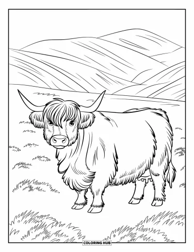 Desenho de vaca das Terras Altas para colorir para crianças: Uma vaca castanha cacheada fica em um prado com colinas imponentes ao fundo
