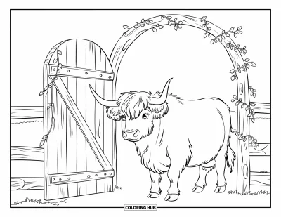 Desenho de vaca das Terras Altas para colorir para crianças: Uma vaca peluda com grandes chifres fica perto de um portão de madeira coberto de vinhas
