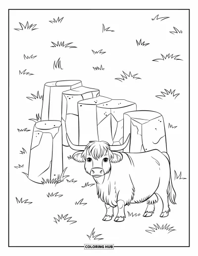 Desenho de vaca das Terras Altas para colorir para crianças: Uma vaca das Terras Altas fica ao lado de pedras antigas rodeadas de tufos de grama