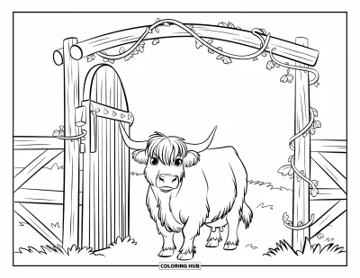 Desenho de vaca das Terras Altas para colorir para crianças: Uma vaca das Terras Altas fica ao lado de um portão de madeira coberto de vinhas em um campo gramado