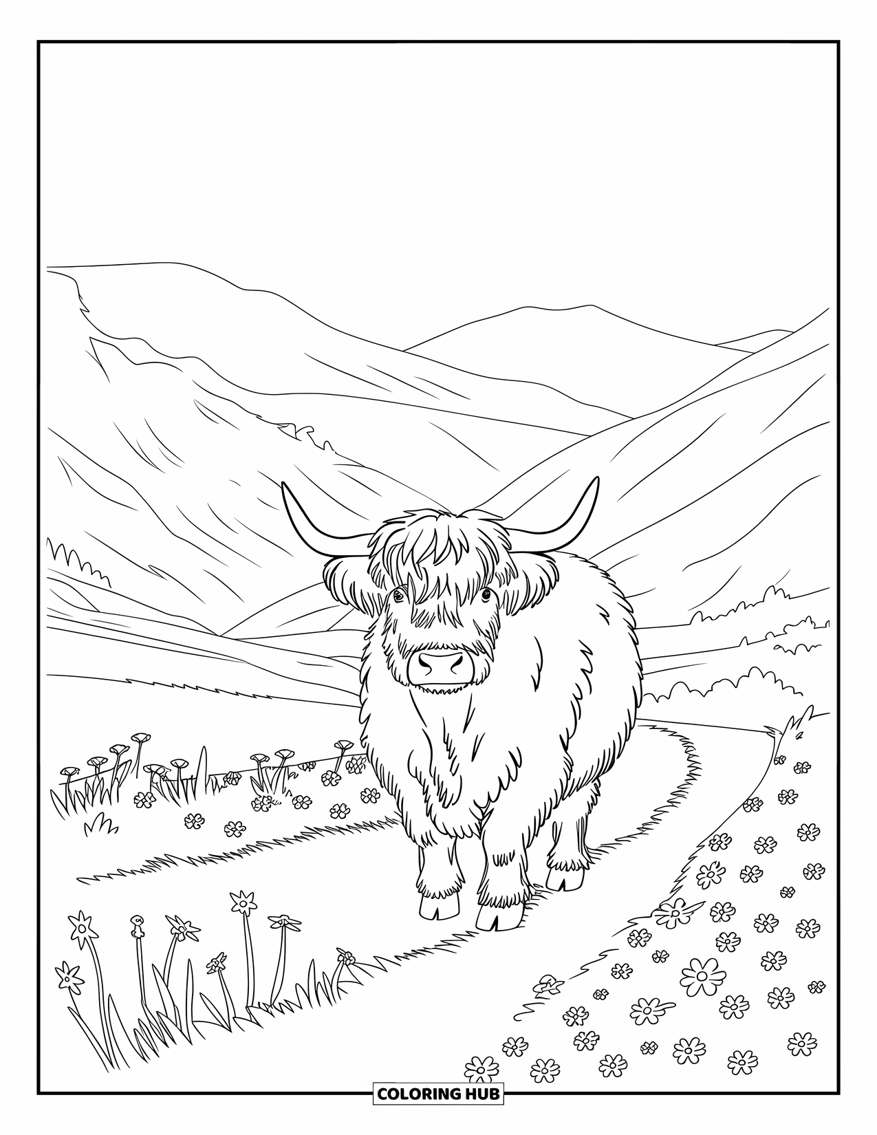 Highland Cow Coloring Page for Kids: A majestic cow walks through a valley filled with wildflowers and soft hills