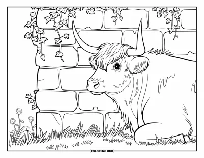 Desenho de vaca das Terras Altas para colorir para crianças: Uma vaca manchada descansa perto de uma parede de pedra coberta de hera