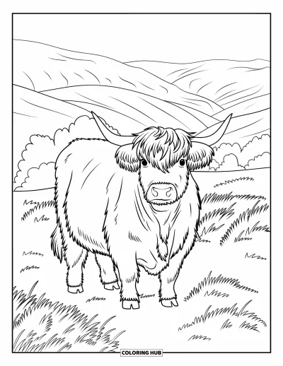 Desenho de vaca das Terras Altas para colorir para crianças: Uma vaca desgrenhada fica em um campo cheio de urze e colinas onduladas escocesas