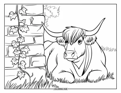 Desenho de vaca das Terras Altas para colorir para crianças: Uma vaca de pelagem grossa descansa perto de uma parede coberta de hera em um campo tranquilo